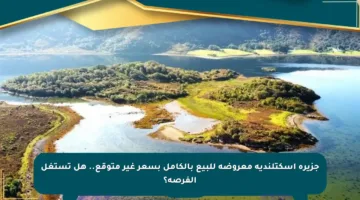 جزيرة اسكتلندية معروضة للبيع بالكامل بسعر غير متوقع.. هل تستغل الفرصة؟